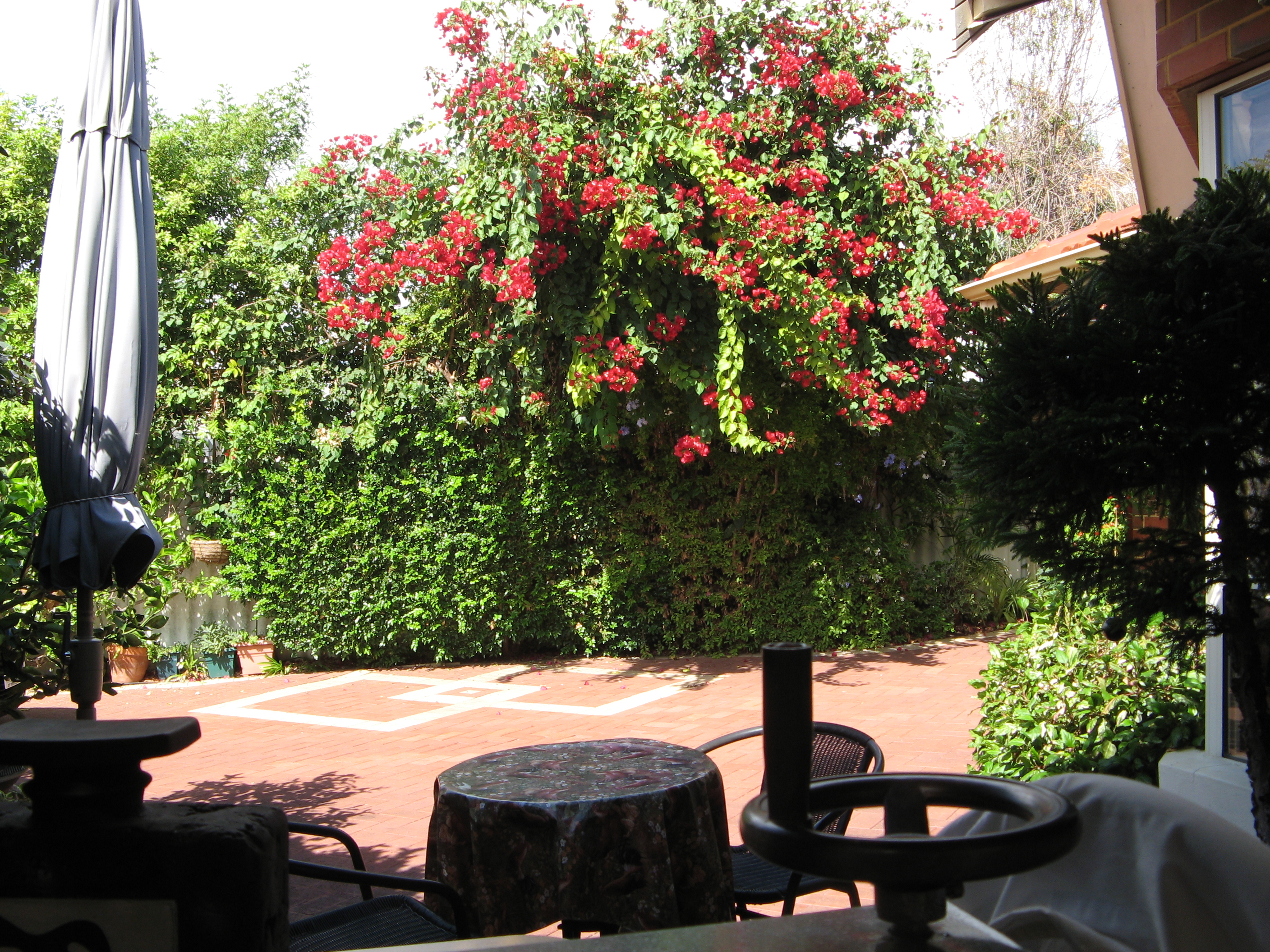 IMG_9751 ambiance from studio